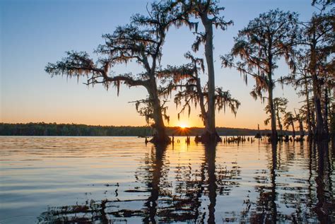 Tour Louisiana's Atchafalaya Basin Swamp | The Heart of Louisiana