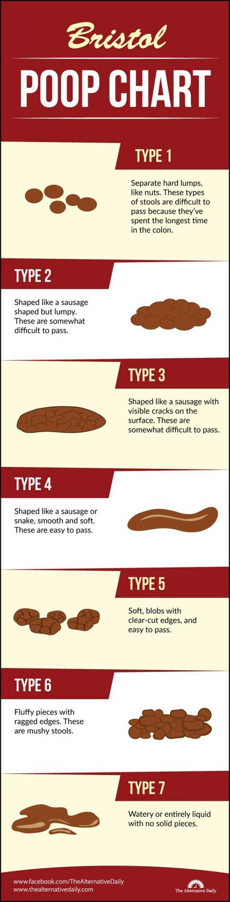 Bristol Poop Chart: Which Of These 7 Types Of Poop Do You Have?