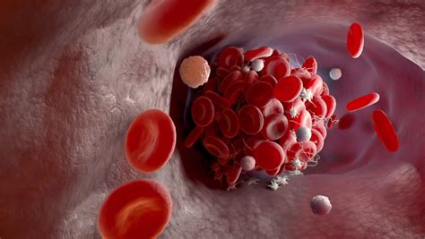 Blood Cells in an artery image - Free stock photo - Public Domain photo - CC0 Images