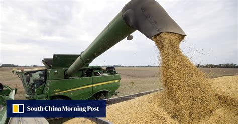 China’s soybean production to increase 40 per cent by 2025 amid food ...