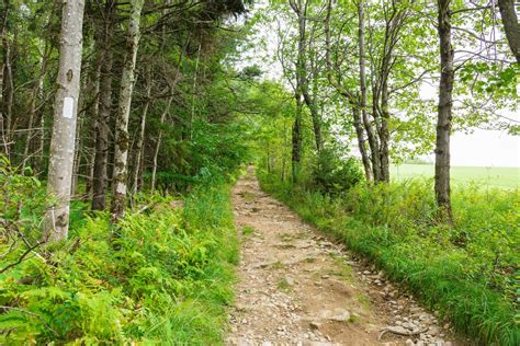 20 Must-Do Hikes in New Hampshire - Outdoor Project