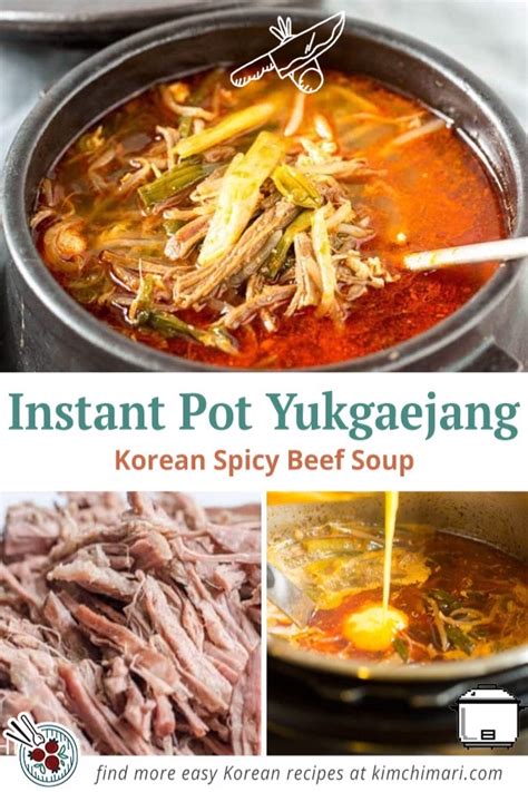 Instant pot yukgaejang korean spicy beef soup – Artofit