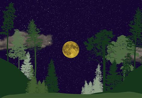 100 Background Hutan Malam free Download - MyWeb