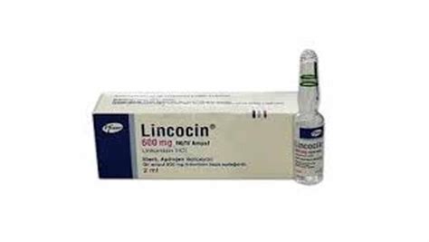 Lincocin - Hekimce