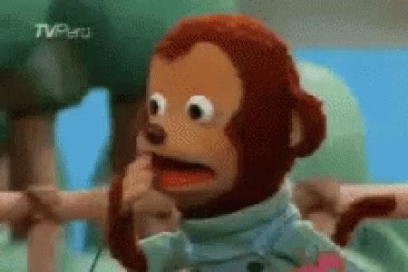 Ow Monkey GIF - Ow Monkey Shocked - Discover & Share GIFs