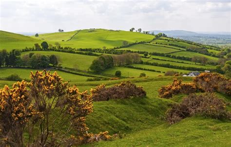 Exploring Ireland's Fascinating History in County Meath • Wander Your Way