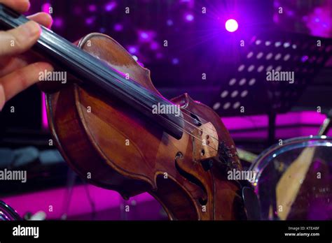 the orchestra in rehearsal violin and magenta light background Stock ...