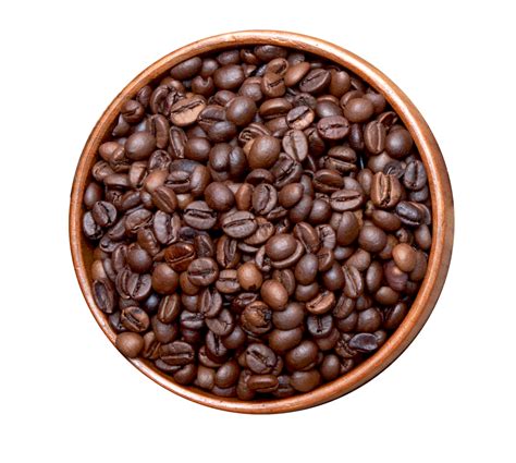 Png Coffee Beans Transparent Coffee Beans Png Images Pluspng | The Best Porn Website