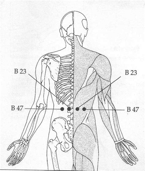 acupressure points for stomach problems | Acupressure points, Acupressure, Acupressure treatment