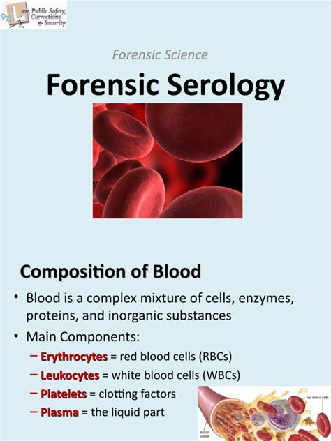 Forensics Blood | PDF | Blood Type | Hematology