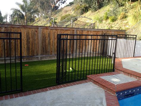 Backyard Dog Run - Backyard Design Ideas