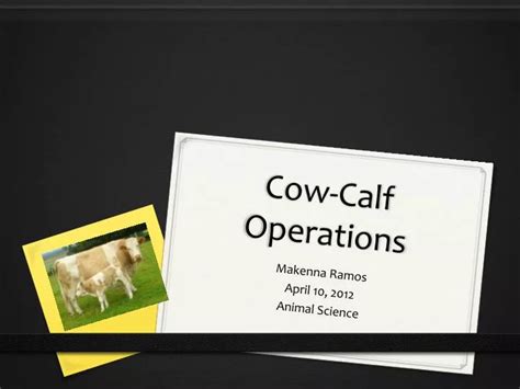 PPT - Cow-Calf Operations PowerPoint Presentation, free download - ID ...