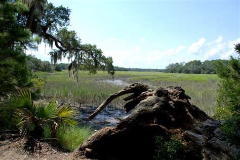 Skidaway Island State Park - Savannah, GA Savannah Ga, State Parks, Photo Ideas, Favorite Places ...