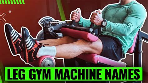 17 Leg Gym Machine Names Uncovered