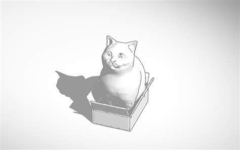 3D design box cat - Tinkercad