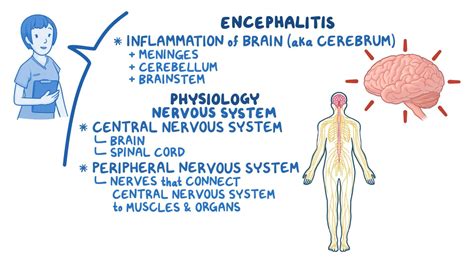 Encephalitis: Nursing - Osmosis Video Library