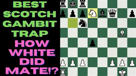 Best Scotch Gambit Trap :#chessgame #chess #chessrush #chesstricks # ...