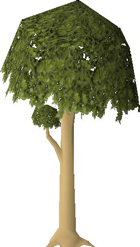 Mahogany tree (Farming) - OSRS Wiki