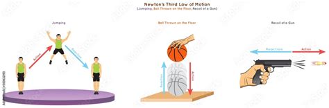 Newton Third Law of Motion Infographic Diagram showing action reaction force direction example ...