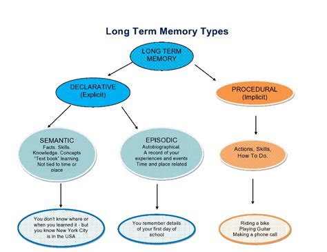 Free Long-Term Memory Cliparts, Download Free Long-Term Memory Cliparts png images, Free ...