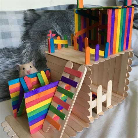 Hamster toy DIY | Hamster diy, Hamster habitat, Diy hamster toys