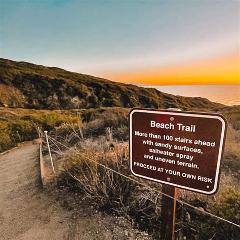 Torrey Pines Beach Trail: Unforgettable Coastal Hike in San Diego