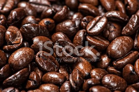 Arabic Coffee Beans Stock Photo | Royalty-Free | FreeImages