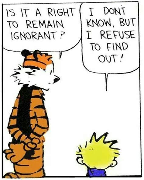 Pin by Robin A. on Funny | Calvin and hobbes quotes, Calvin and hobbes comics, Calvin and hobbes