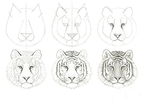 How to draw a realistic tiger head step by step, part 4 in 2022 | Tiger ...