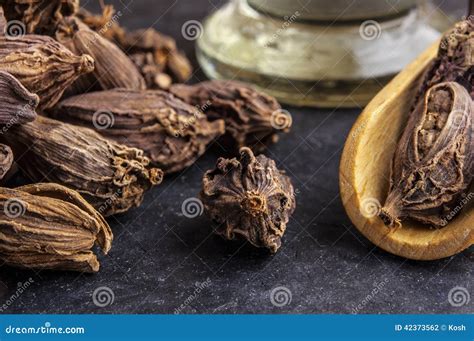 Black Cardamom Is Red Stemmed, Tall, Clustering Plant Royalty-Free Stock Image | CartoonDealer ...