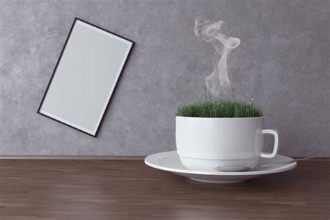 300+ Smoking Tea Leaves Stock Photos, Pictures & Royalty-Free Images ...