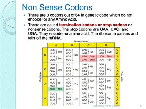 Genetic code