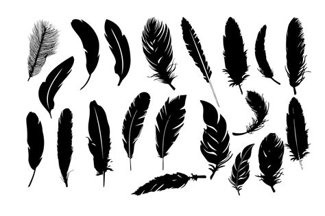 Feather Silhouettes SVG DXF EPS PNG AI By RWD | TheHungryJPEG.com