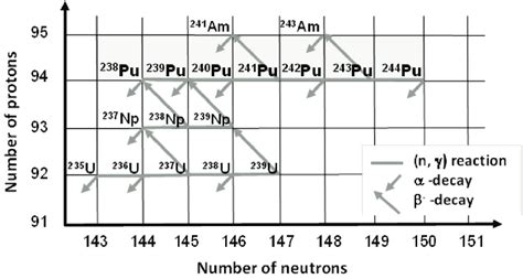 Major pathways for the generation of plutonium isotopes by neutron ...