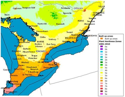 Plant Hardiness Zones - Garden Graces Plantscapes