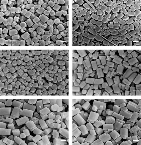 SEM images of zeolite L crystals synthesized with the gel composition ...