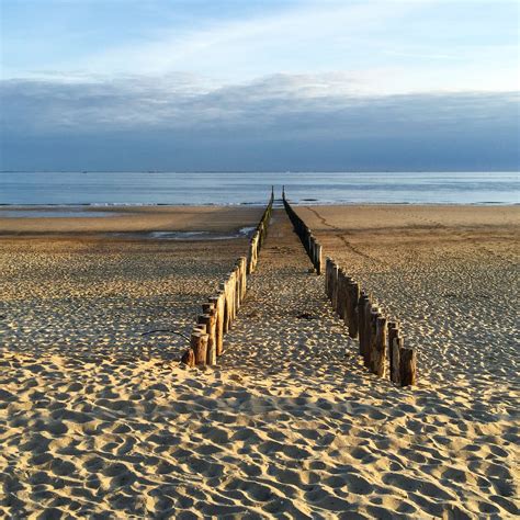 Strand Zoutelande | Picture places, Coastal travel, Beach scenes