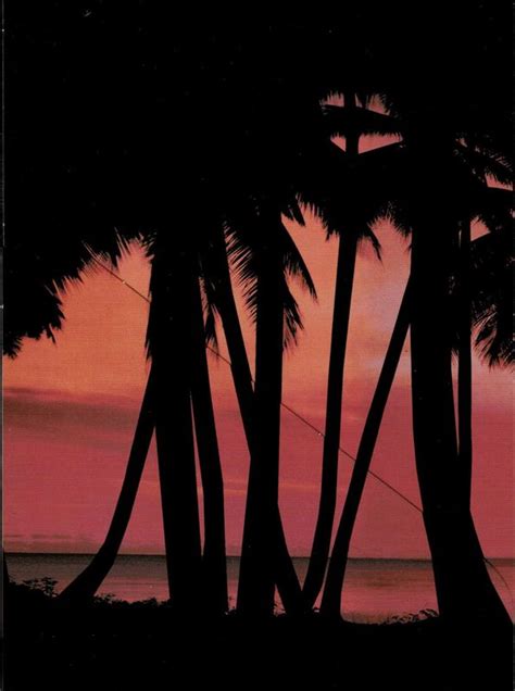 Grand Theft Auto: Vice City cover or packaging material - MobyGames