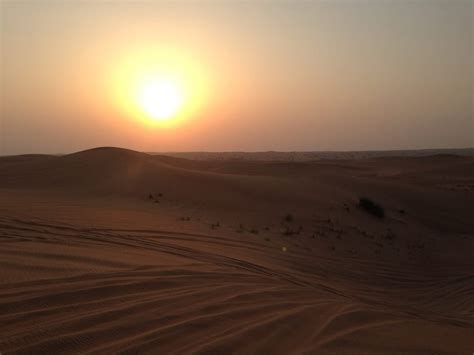 DUBAI Desert Safari: A Dune Ride, a Falcon Show and a gorgeous Sunset in the Arabian Desert ...