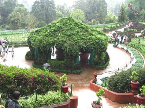 Top 5 Botanical Gardens In India • India Gardening