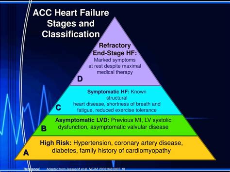 Acc Flow Chart Heart Failure