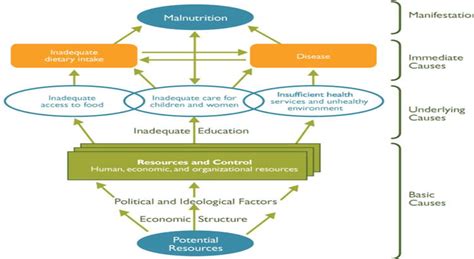 Causes of Malnutrition | IntechOpen