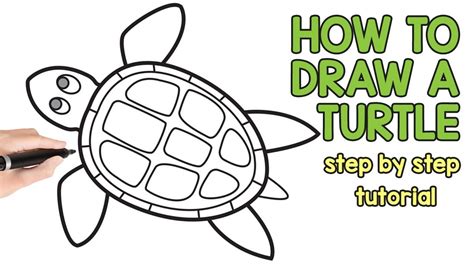 Art Hub For Kids How To Draw A Turtle / Step by step drawing tutorial on how to draw a turtle ...