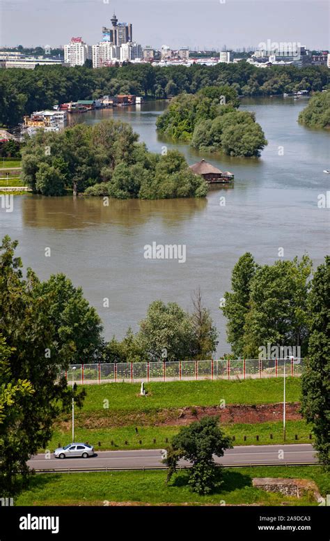 River, trees, panorama, Belgrade, Serbia Stock Photo - Alamy