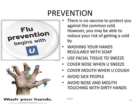 PPT - Rhinovirus by PowerPoint Presentation, free download - ID:3234624