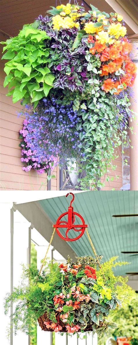 Best Plants For Hanging Baskets In Shade