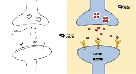 How to plan and design a graphical abstract in three steps - Mind the Graph Blog