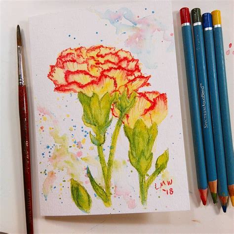 Easy Watercolor Pencil Project for Beginners