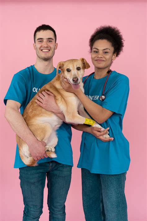 Foto de stock gratuita sobre abrazar, abrazo, activismo