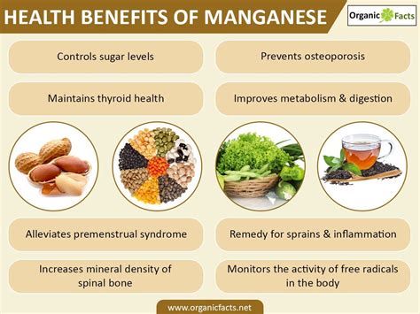 Manganese Benefits In Pregnancy / Microbiome in Pregnancy | Ignite Nutrition - Manganese is an ...